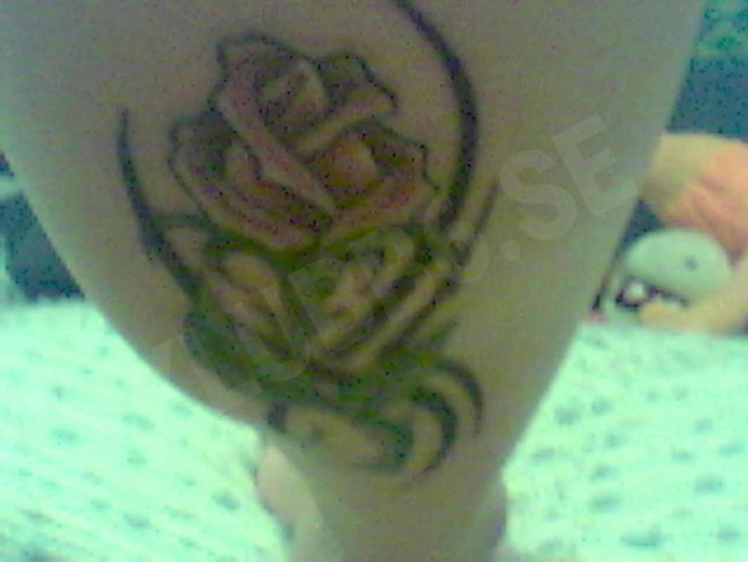 virran3998680
